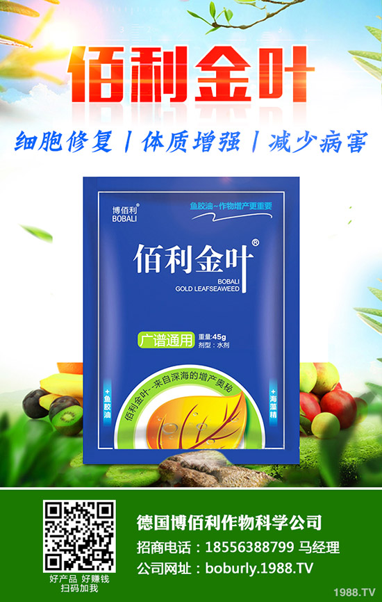 蘿卜撇葉中應該注意什么?蘿卜撇葉的方法及注意事項!