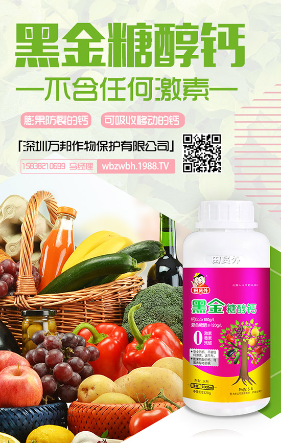 花期將至!棗樹(shù)落花落果該怎么辦?棗樹(shù)落花落果原因及防止措施!