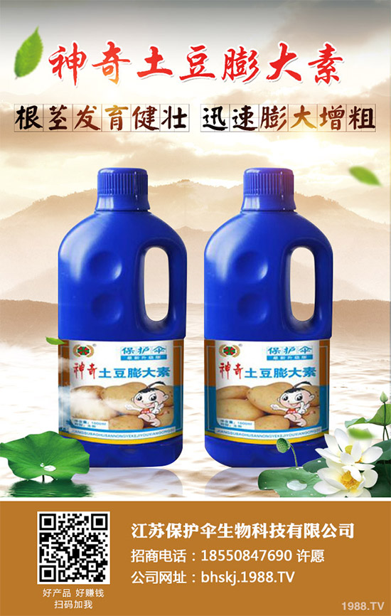 國內尿素價格市場行情周報