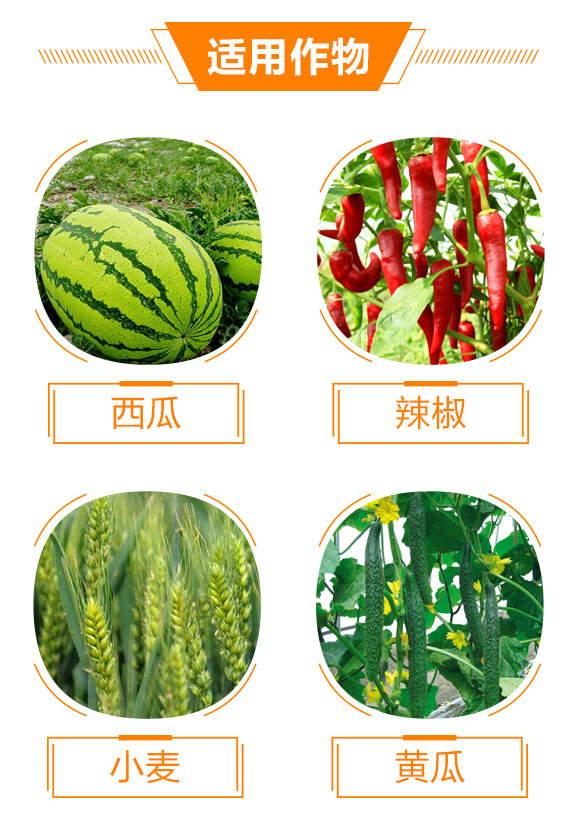 300克每升苯醚·丙環(huán)唑-生之藍-生農世澤_04
