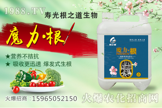 桃樹施肥有什么講究?桃樹施肥時間,如何做到科學(xué)施肥?