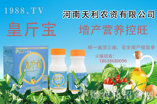 花生施肥常見(jiàn)問(wèn)題有哪些?花生需肥規(guī)律及施肥方案講解!