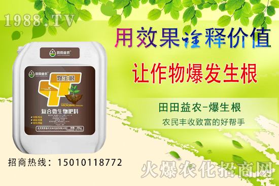 獼猴桃種植前景如何,獼猴桃種植技術(shù)要點!
