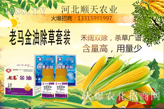 如何提高玉米苗后除草效率?玉米除草關(guān)鍵點大匯總!