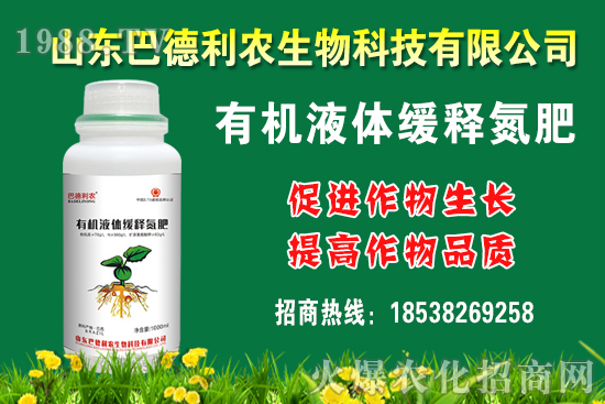 板栗多少錢(qián)一斤?種植前景如何?栗種植成本及利潤(rùn)分析!