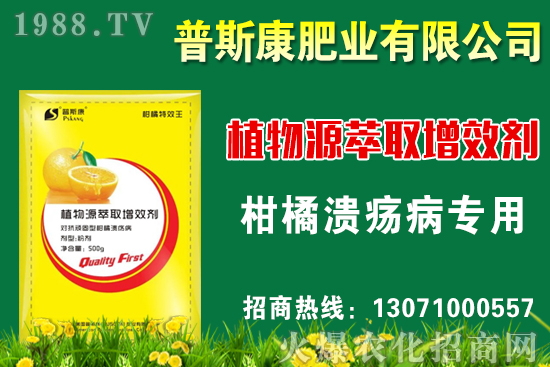 茭白無公害栽培技術要點,茭白采收標準及方法!