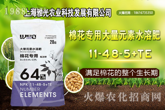 甜椒什么時候種植,甜椒栽培技術(shù)要點!