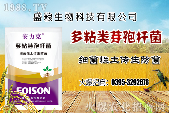 車厘子種植環(huán)境要求有哪幾點?車厘子良種選擇及良種套種!