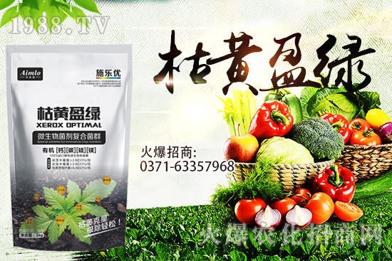 十月即將到來(lái),麥價(jià)能漲多少?9月29日小麥價(jià)格走勢(shì)!