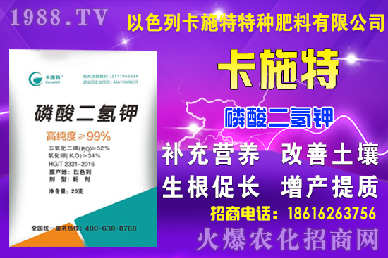 今日糧價(jià): 9月7日小麥?zhǔn)袌鲂星轭A(yù)測!