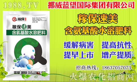 小麥價(jià)格多少錢(qián)一斤?2020年小麥價(jià)格行情及走勢(shì)!