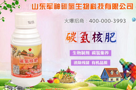 碳?xì)浜朔适鞘裁捶?為什么效果這么好?