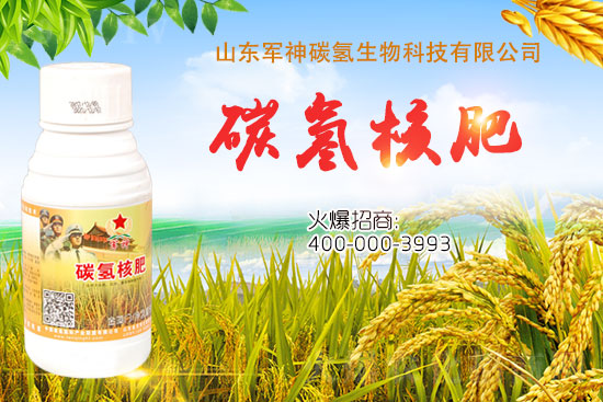 碳?xì)浜朔适鞘裁捶?為什么效果這么好?