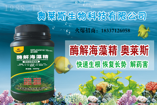 大豆價(jià)格還會上漲嗎?今日大豆價(jià)格行情