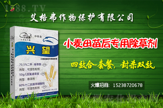 2021.5.28防火隔離帶除草劑價格