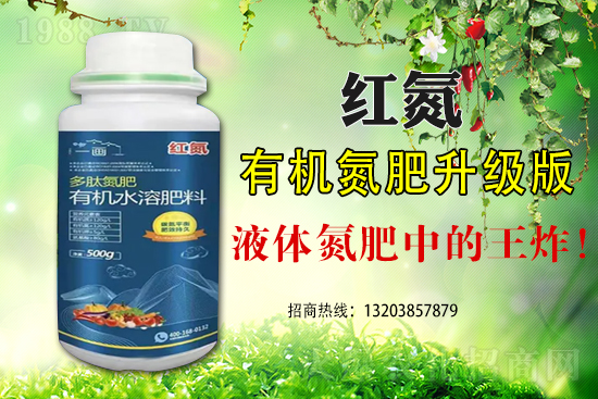 近日玉米價(jià)格行情日報(bào)2021年7月中旬