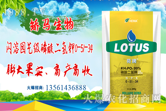 農作物受洪澇災后的損害及補救措施