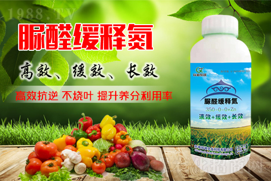尿素期貨主力合約大幅上漲,尿素價格會如何變化?