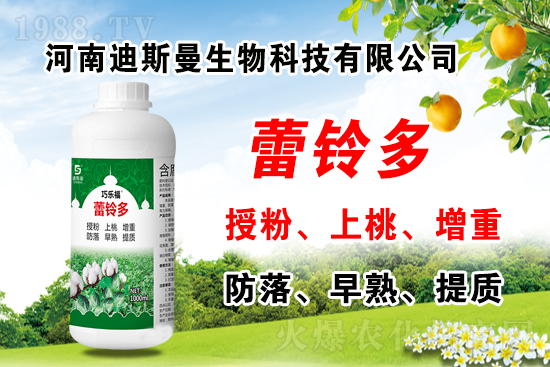 棉花價格