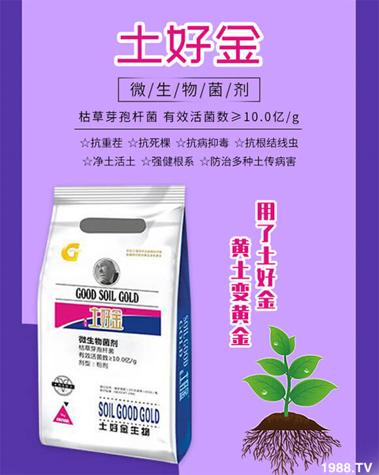 蔬菜死棵秧苗不長(zhǎng)怎么辦?這樣防治輕松解決!