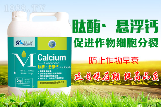 蘋果樹花后補鈣很關鍵!蘋果補鈣的四個誤區(qū)你知道嗎?