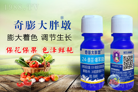     Ҫ߮a(chn)P(gun)I(sh)졢D(zhun)ɫuѣڵĮa(chn)Ʒ|(zh)SĹr(nng)r(nng)ӳԼҵסܛչrll(f)