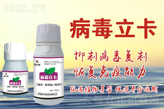 破解植物病毒防治難題!快速恢復生機!這個藥打上就管用!