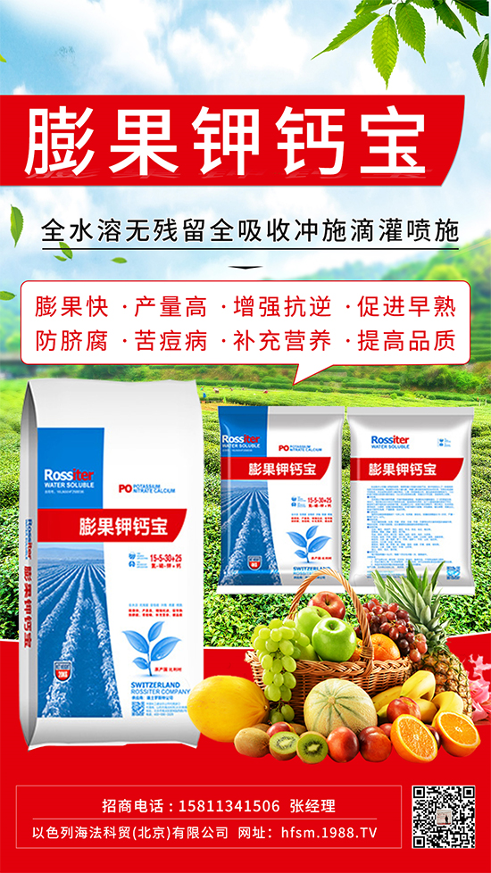 柑橘進(jìn)入膨大期,如何提升“顏值”?這個方案值得擁有!