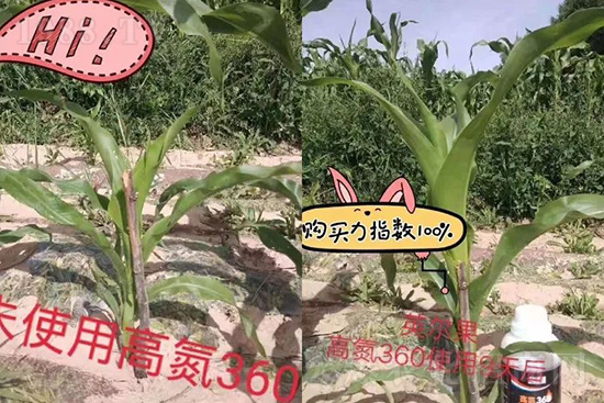 ҺwЩ(yu)cҺw׷ʆ