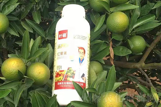 紅果素—只為轉色而生!轉色快、高,催紅不用愁!