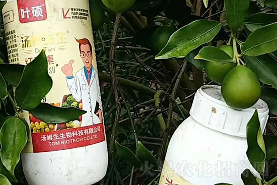 紅果素—只為轉色而生!轉色快、高,催紅不用愁!