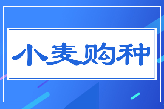 小麥購(gòu)種