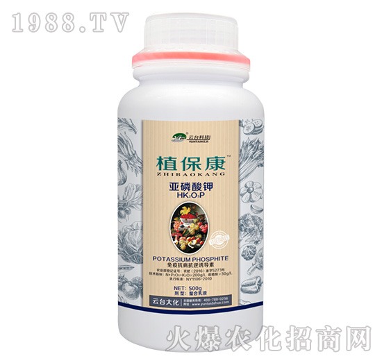 500gֲ-_(ti)