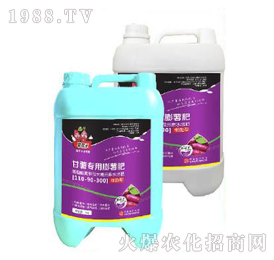 팣ʣ500g--A(l)
