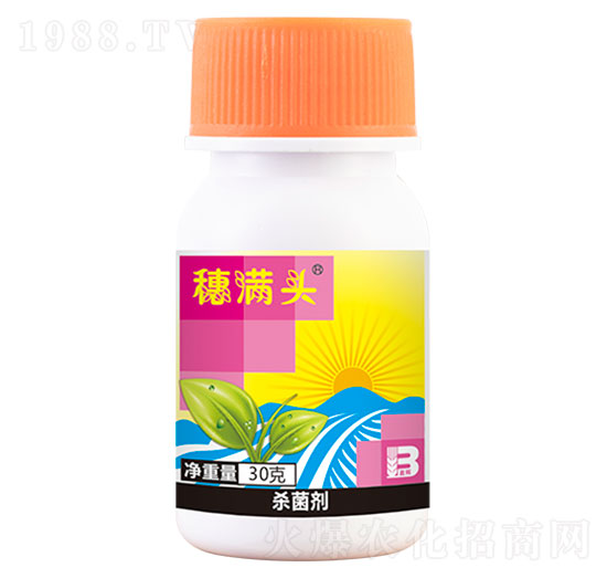 25%߻h(hun)Ҹ30g-M^-ӯx