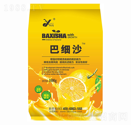 巴細沙 昕爵