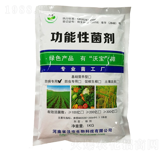 (zhun)͹Ծ-֌