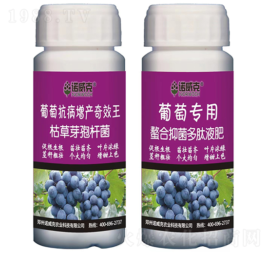 葡萄抗病增產奇效王+螯合抑菌多肽液肥-諾威克