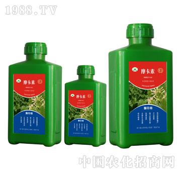 ݌ðҺķ-Ħ-(qing)оH