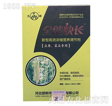 豆角、菜豆專用高效高效濃縮營養(yǎng)調(diào)控劑-全能快長-為峰肥業(yè)