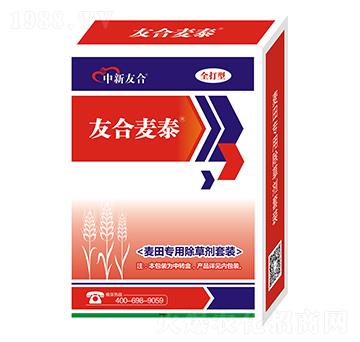 (zhun)ó݄b-Ѻ̩-Ѻ