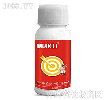 5%x(chng)-K11-ֲ