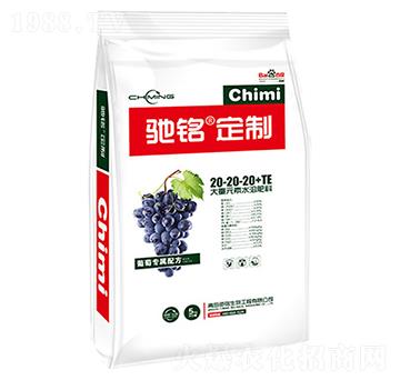 ь(zhun)ôԪˮܷ20-20-20+TE-Y