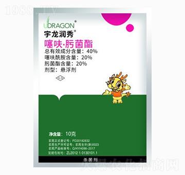10g߻뿾-(rn)-