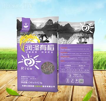 ˮ(zhun)Ó30-22-4-(rn)Դ