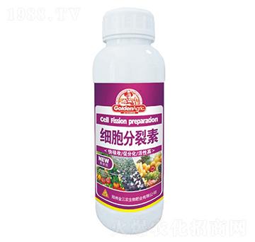 500ml-r(nng)