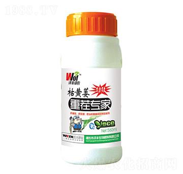 Sήز猣(zhun)-S