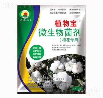 ޻(zhun)΢-ֲ-(rn)