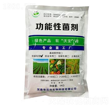 (zhun)͹Ծ-֌