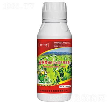 玉米棒增粗·拉長高產(chǎn)精華素-郭師傅-立信生物